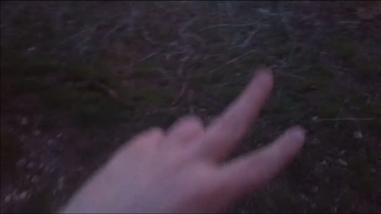 Actual footage of a MODERN SONIC FAN trying to ATTACK ME